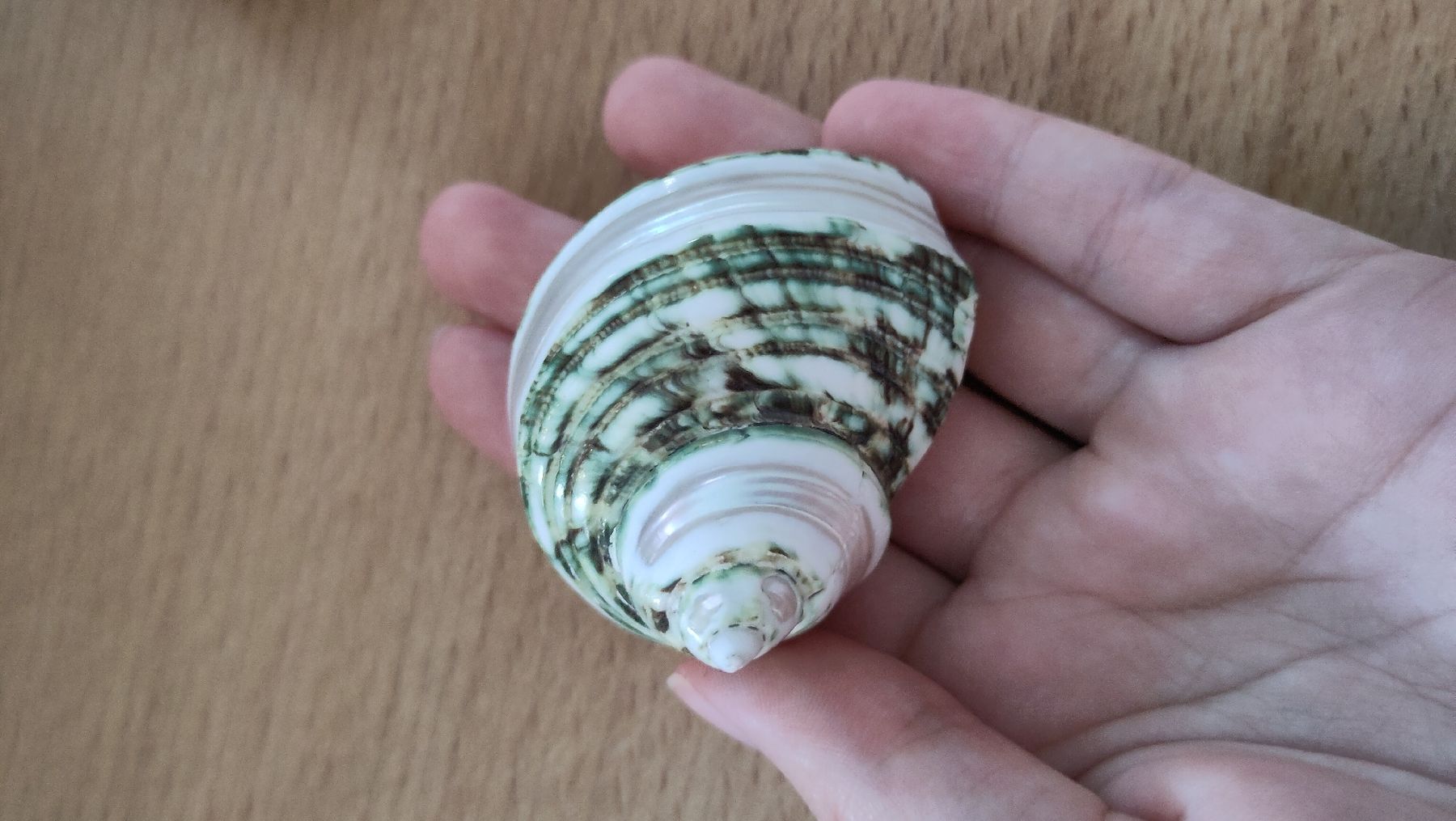 Alle Dekorationen: Dekoration Thema Strand – Neu (gemäss Beschreibung) aus Lostorf von M.Mollet 2