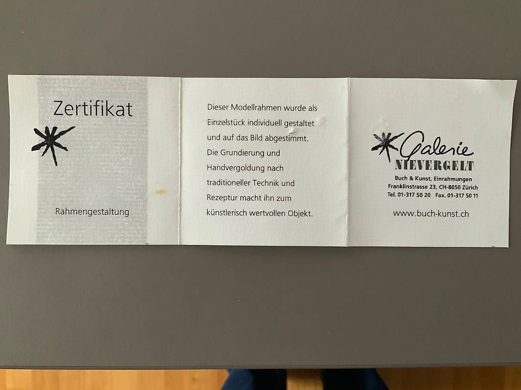 Grafica & Litografie: Rudolf Mirer Top Lithografie – Usato da Siebnen venduto da RegulaHansi 2