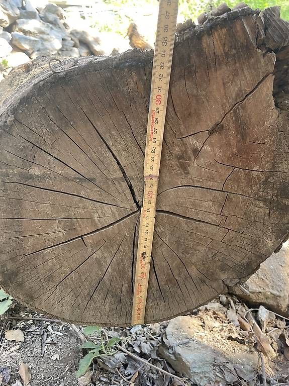 Articoli in legno: Kirsche als Massiv Holz  – Usato da Naters venduto da brunteles