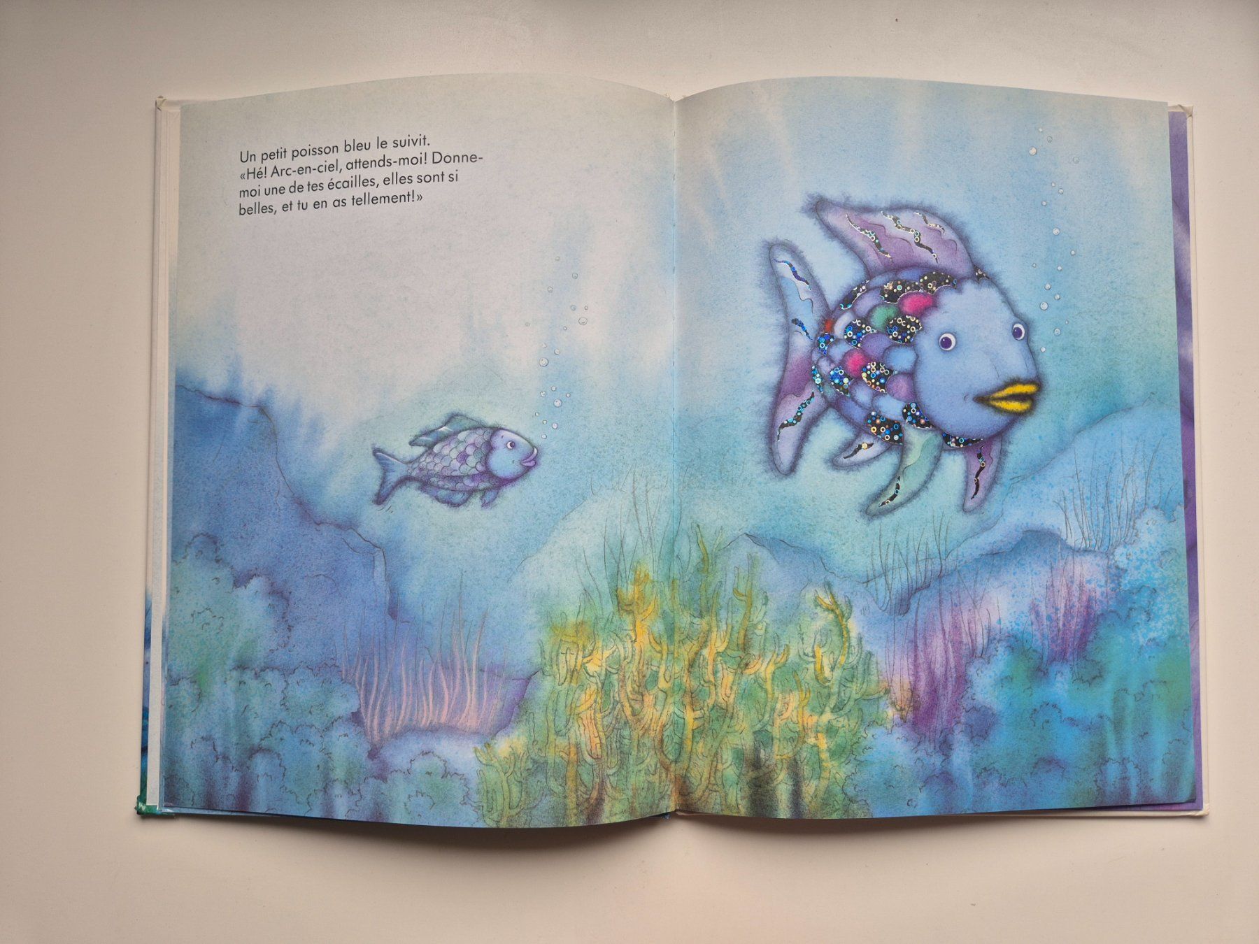 Bücher: Arc en ciel / Der Regenbogenfisch    🌈🐟 – Gebraucht aus Niederweningen von Obson 2