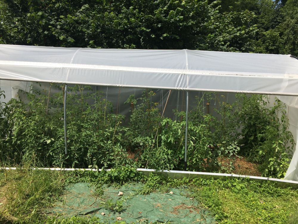 ProfiGewächshaus Kaufen auf Ricardo