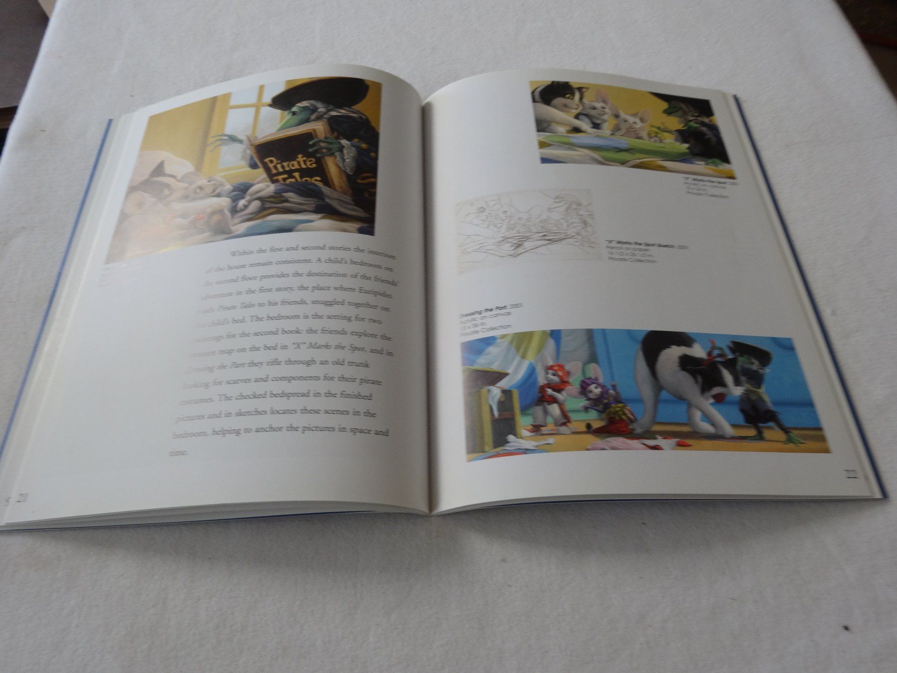 Libri: Pirate Tales and Beyond – Usato da Neerach venduto da jenny062 7