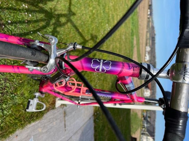 Biciclette: Rennvelo Marke Girini mit Shimano Durace – Usato da Lupfig venduto da gerberlupfig 4