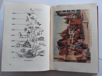 Libri: Luegisland – Usato da Zignau venduto da farbun 2