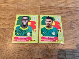 Panini United Edition Fifa World Cup 2026 - Sénégal