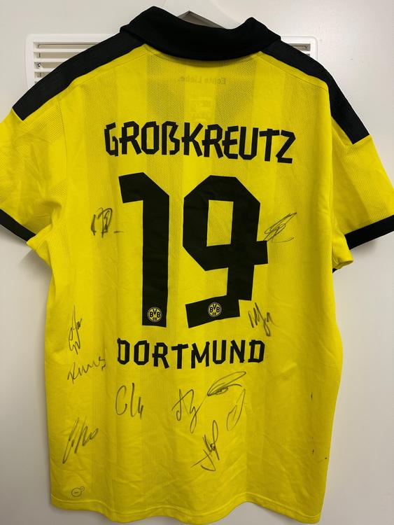 Borussia Dortmund Trikot Mit Unterschriften Kaufen Auf Ricardo