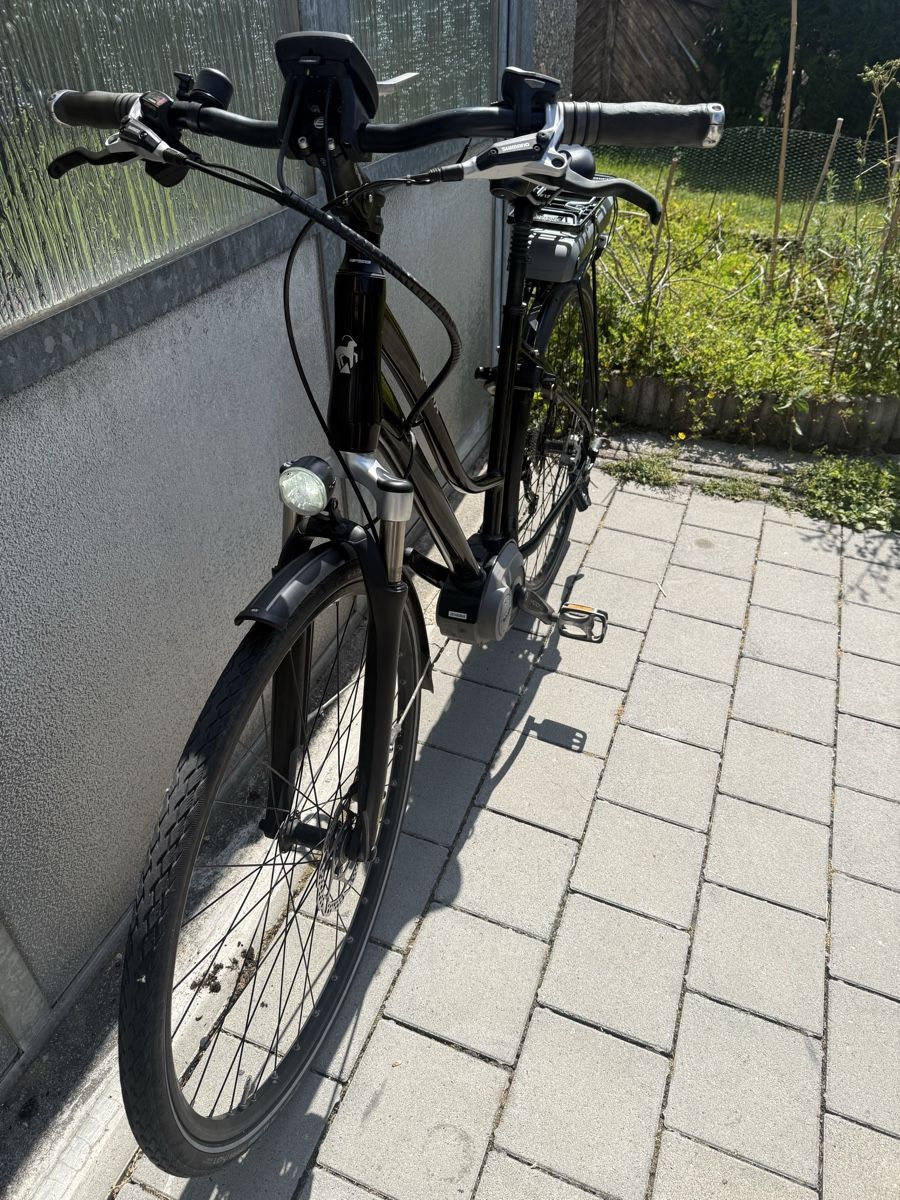 Cresta Biciclette: Cresta Damen E-Bike mit Bosch Active Line Motor  – Usato da Oberentfelden venduto da speed_71 6