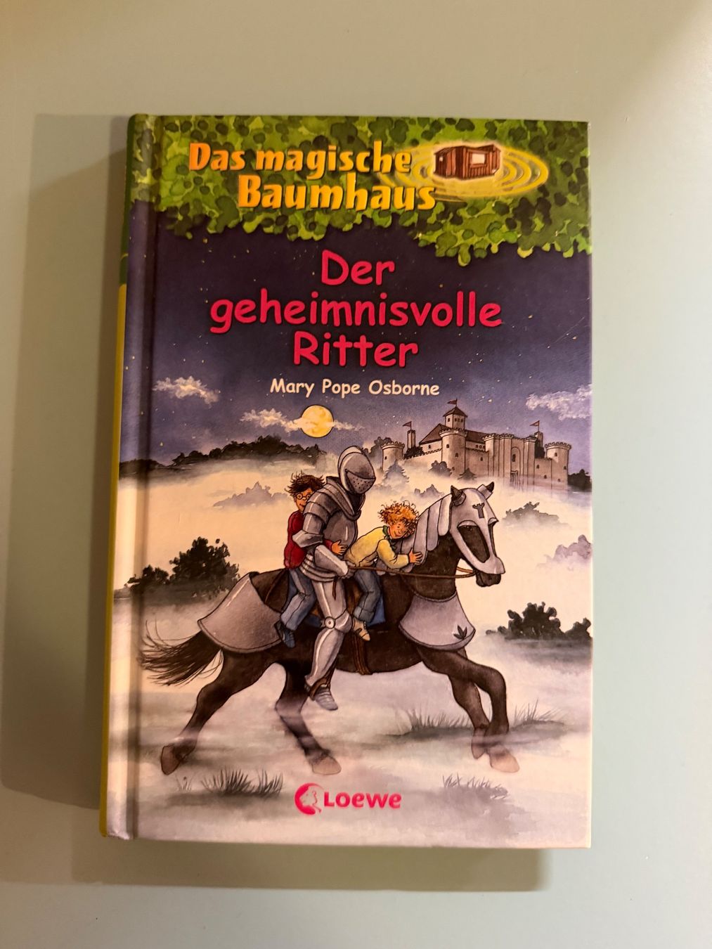 Libri: Buch das magische Baumhaus Nr. 2 – Usato da Bern venduto da Werahiko