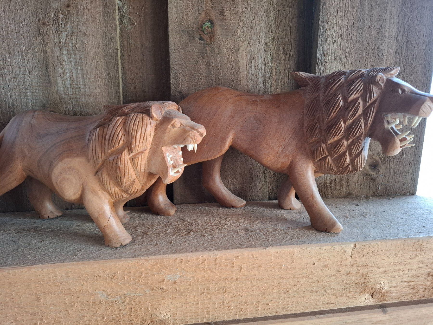 Skulpturen & Statuen: Holz/Löwe geschnitzt drei Stück – Gebraucht aus Steg im Tösstal von LARO14 6