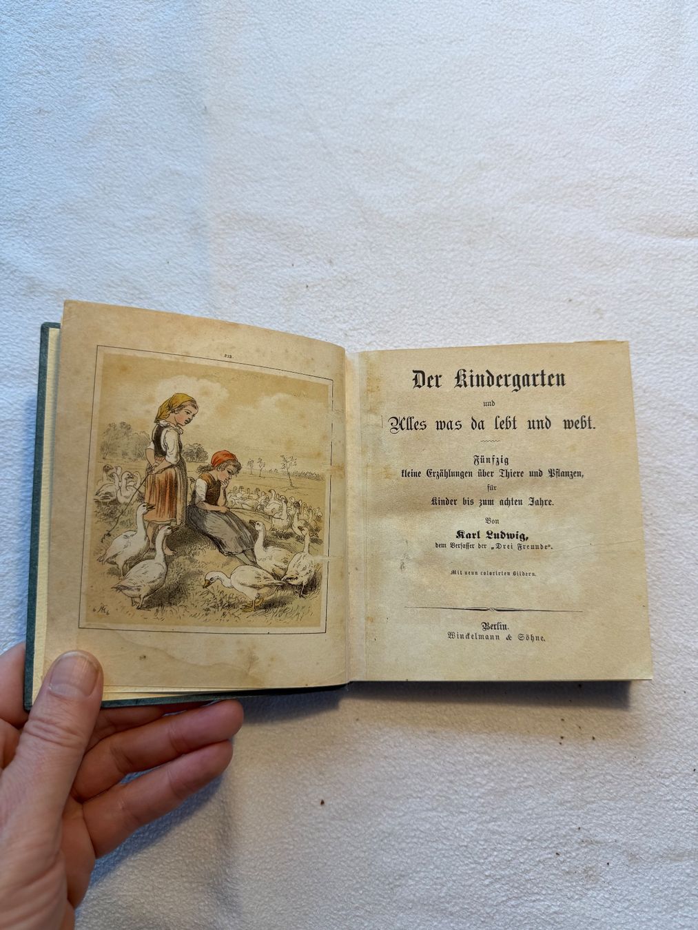 Libri: Der Kindergarten und Alles was da lebt und webt. – Usato da Bern venduto da xberg36