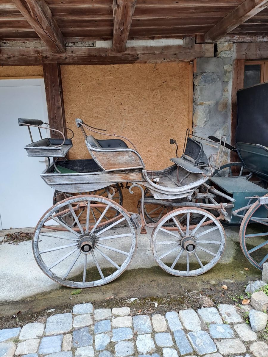 Carrozze: alte Kutschen mit historischem Wert – Difettoso da Moosseedorf venduto da mir_xw2z