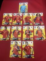 Panini WM 2026 Spanien Hero Karten, Top Zustand!