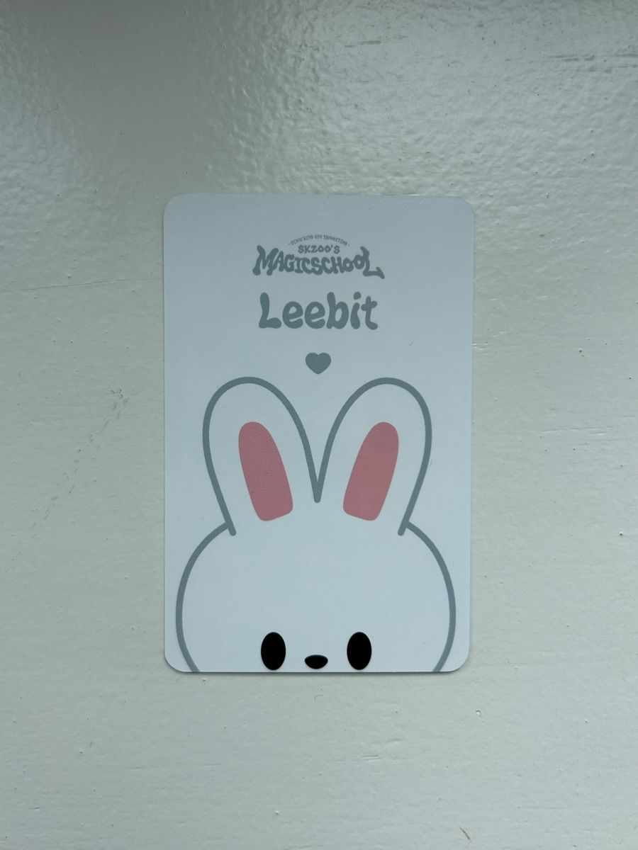 Carte collezionabili: Stray Kids Lee Know Photocard Magic School – Nuovo (secondo la descrizione) da Basel venduto da alinee_sophiee 1