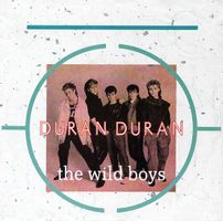 Duran Duran: The Wild Boys 7"