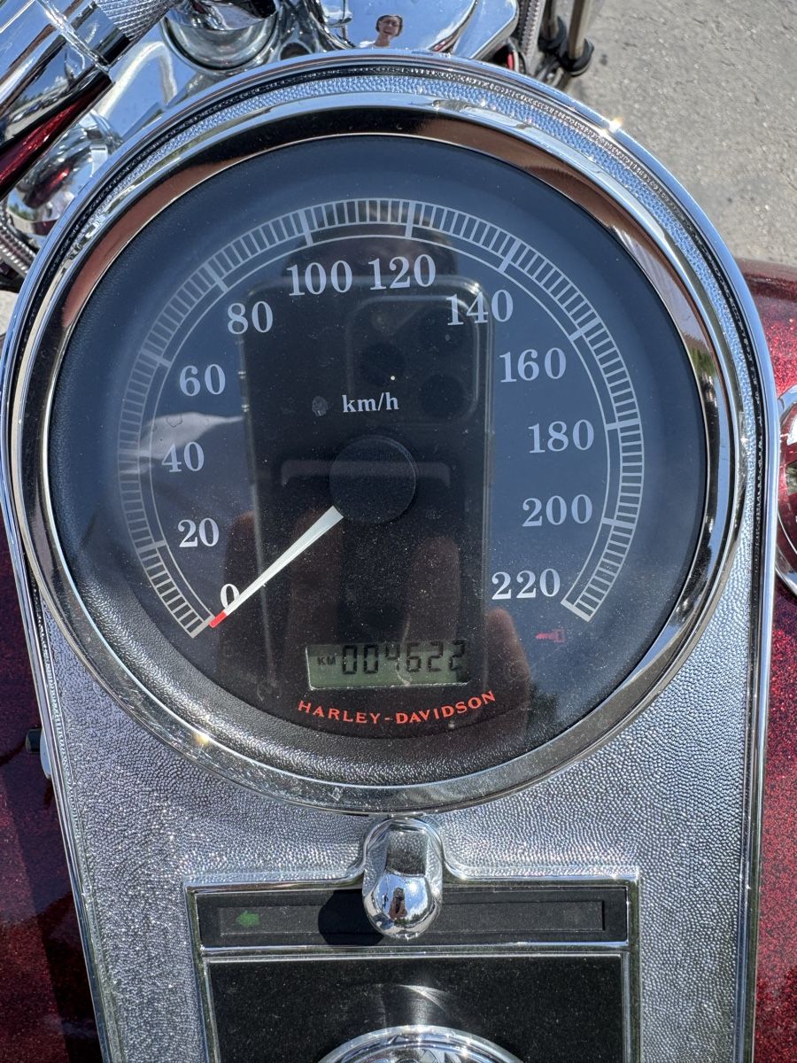 Harley-Davidson Cruisers: HARLEY-DAVIDSON FLSTC Softail – D'occasion à Chur par alt_lwl9 9
