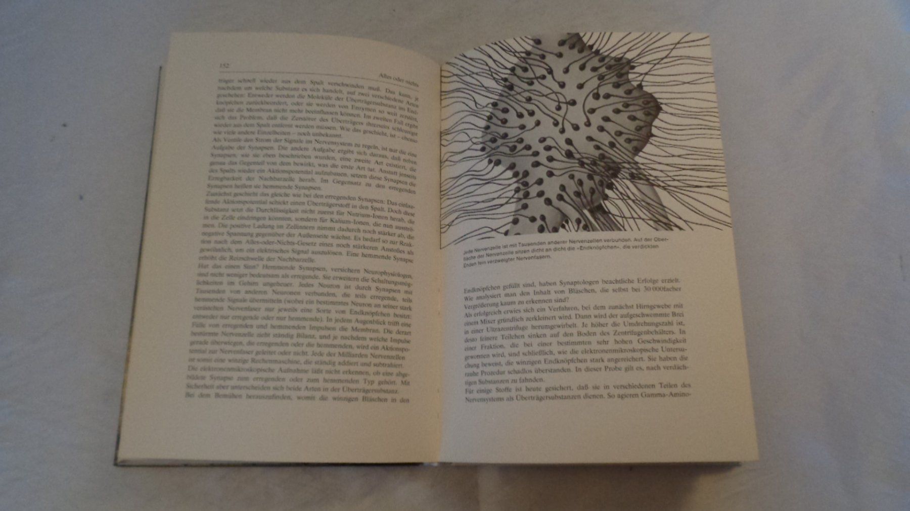 Libri: Manipulation - Der Griff nach dem Gehirn / Erwin Lausch – Usato da Bellach venduto da JingleJerry 2
