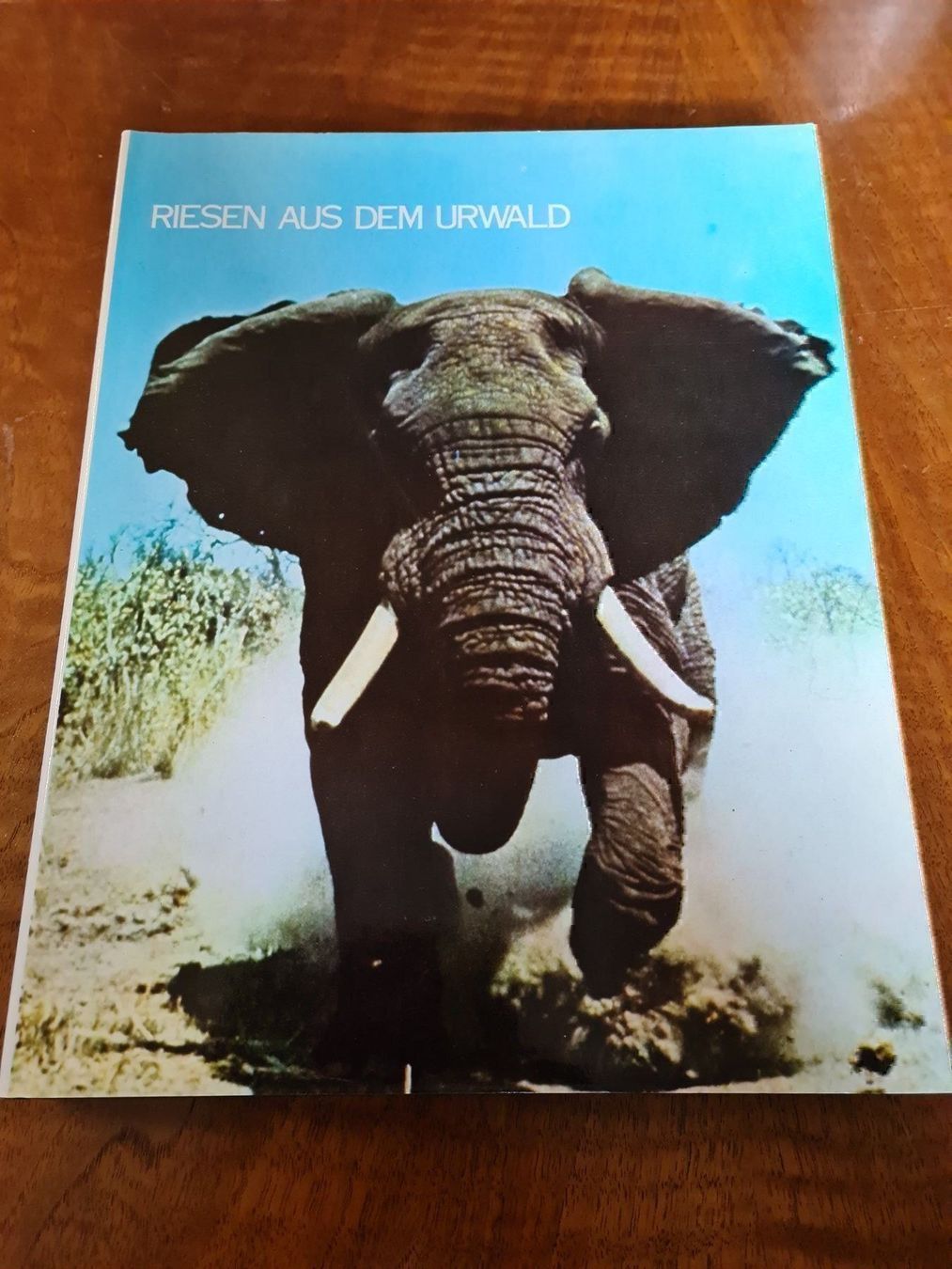 Libri: Riesen aus dem Urwald – Usato da Erstfeld venduto da Uhu1980