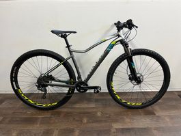 Neuwertige Specialized Velo Mountainbike Grösse M,L 29"