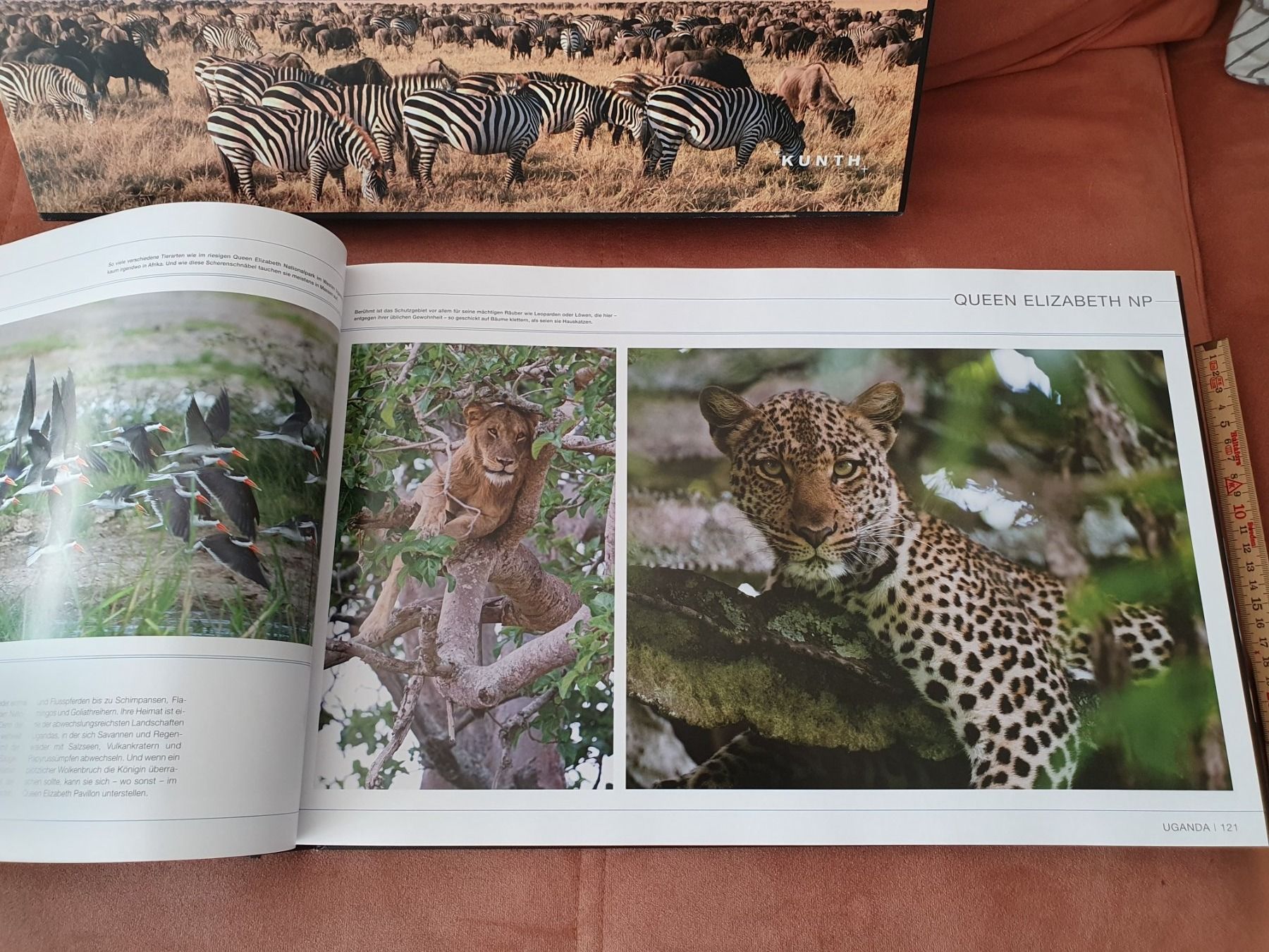 Bücher: DIE FARBEN DER ERDE - AFRIKA - – Gebraucht aus Breitenbach von TWIX22 9