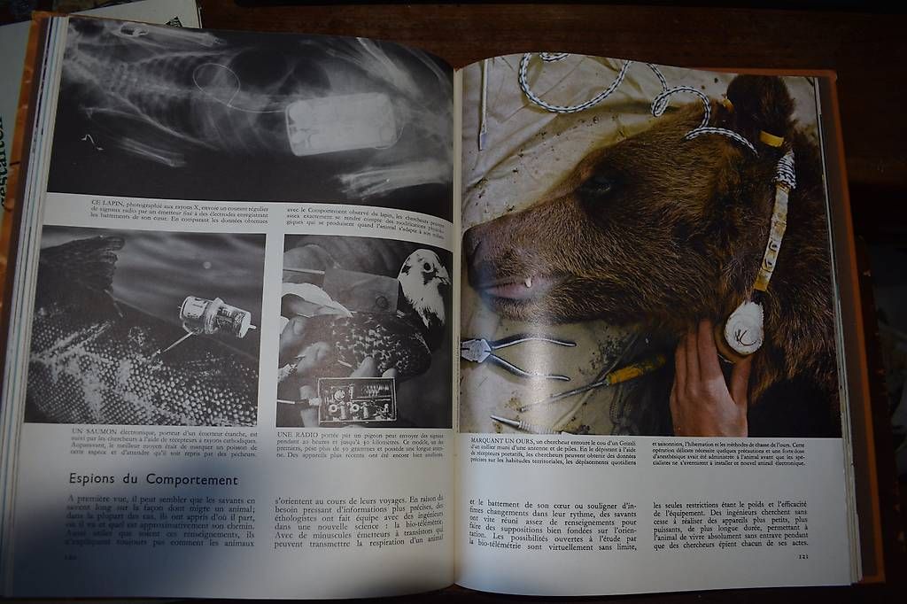 Bücher: Les Animaux – Gebraucht aus Brügg BE von Aristotolius 1
