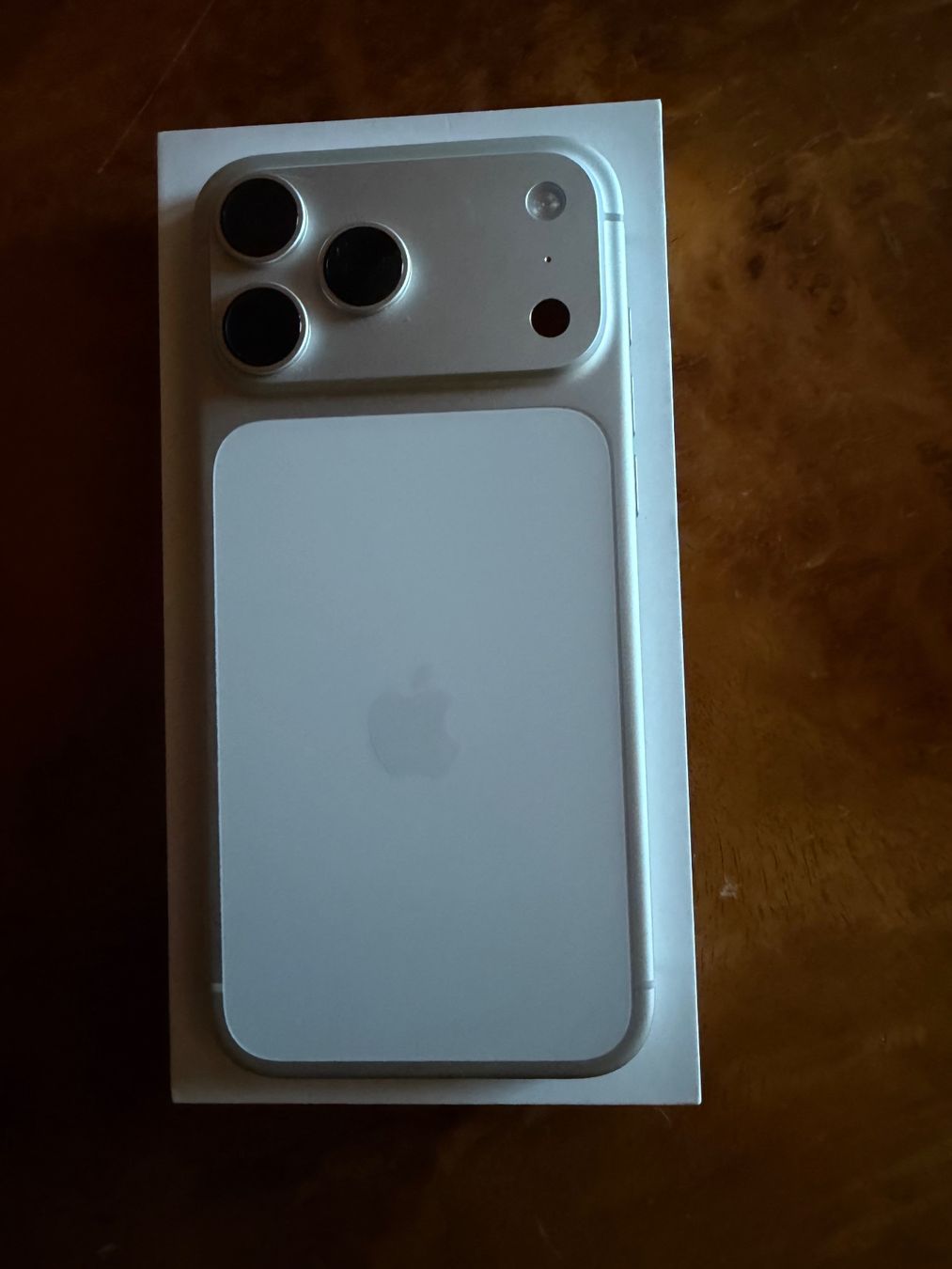 Apple Handys / Smartphones: Iphone 17 Pro Max Silver 265GB – Gebraucht aus Neuhausen von SnowBerryZ 1