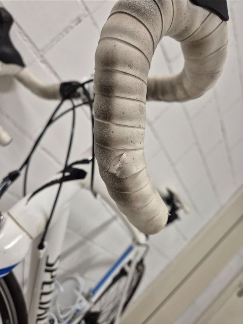 Specialized Biciclette: Velo specialized Rennrad – Usato da Bern venduto da vla_hbl9 6