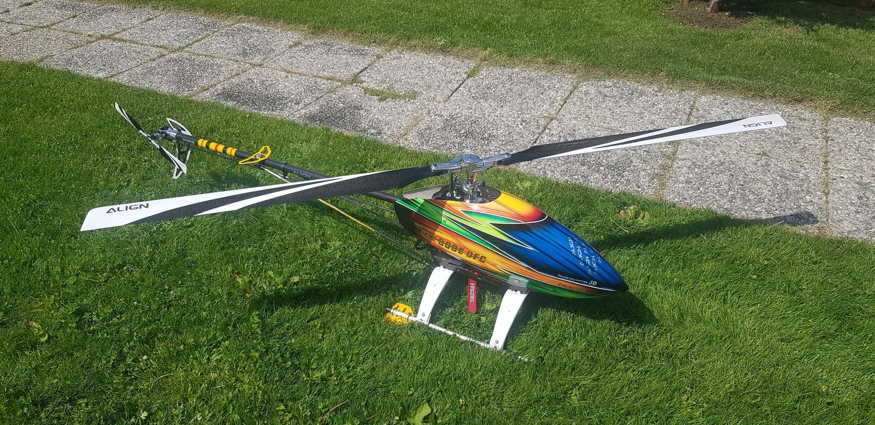 Align Modellismo RC: TRex 800 – Usato da Unterbäch VS venduto da Tourismo 2