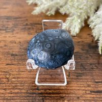 ✲ Gobi Achat Handschmeichler ✲ 16g / 30mm Wüstenachat Agate