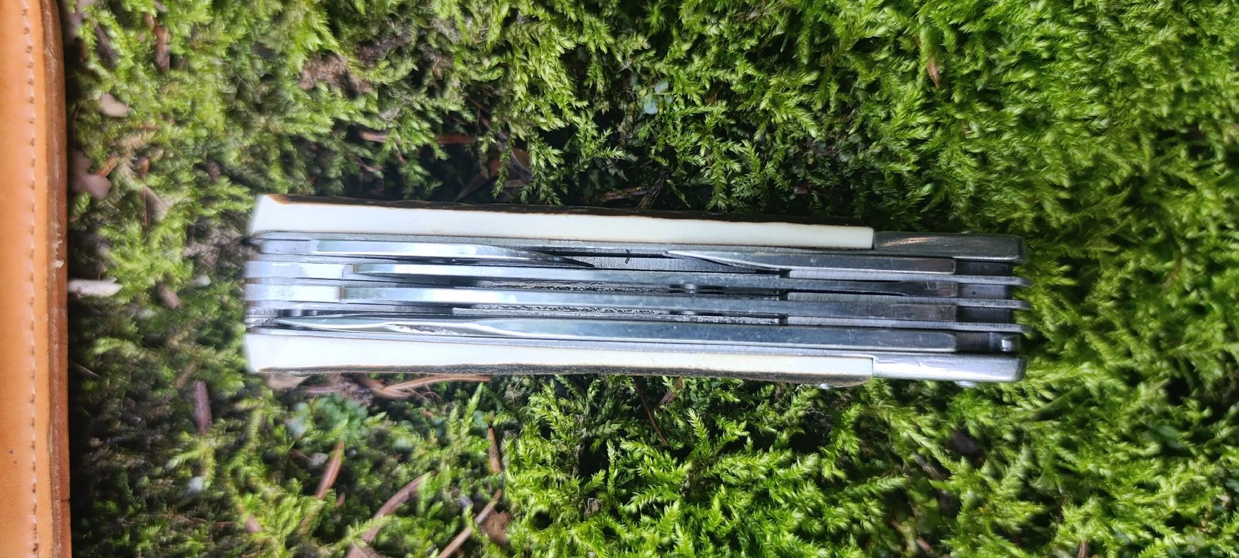 Coltelli tascabile: Jagtmesser Taschenmesser  – Usato da Oppligen venduto da can_rf8g 8
