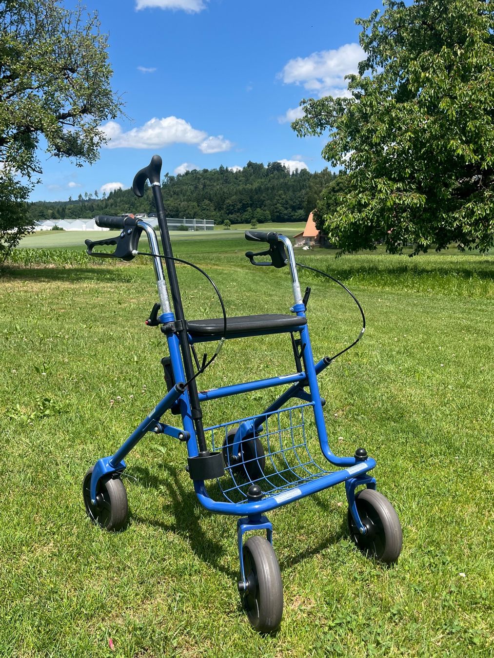 Ausili per la deambulazione: Rollator Zusammenklappbar – Usato da Allmendingen b. BE venduto da juair 4