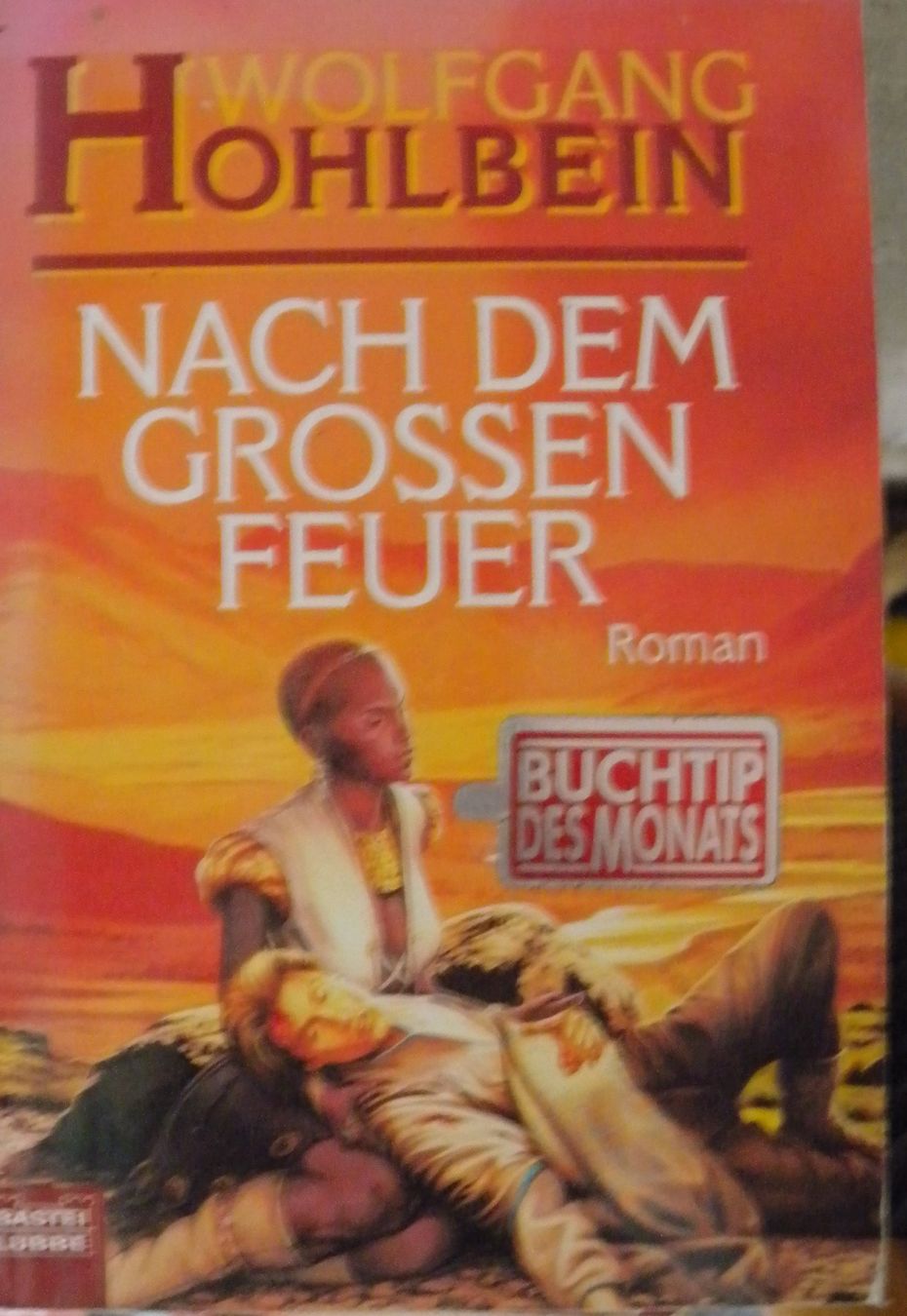 Libri: nach dem grossen feuer – Usato da Hauenstein venduto da Danbach
