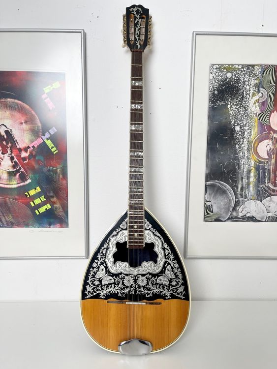 Bouzouki mit Bag Kaufen auf Ricardo
