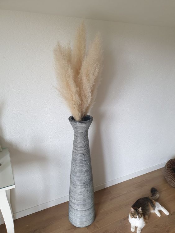 Pampas Gras mit Vase Kaufen auf Ricardo