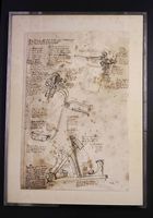 Rene Fehr 38x56