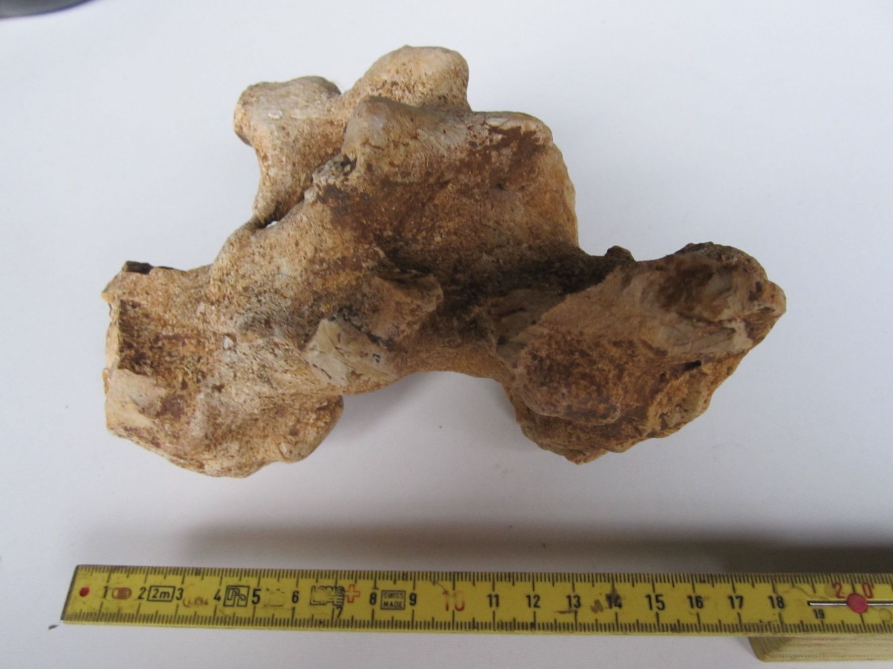 Minerali & Pietre curative: Quarzitm ; Bristol Silver Mine UT, USA – Nuovo (secondo la descrizione) da Weier im Emmental venduto da waefler03 4