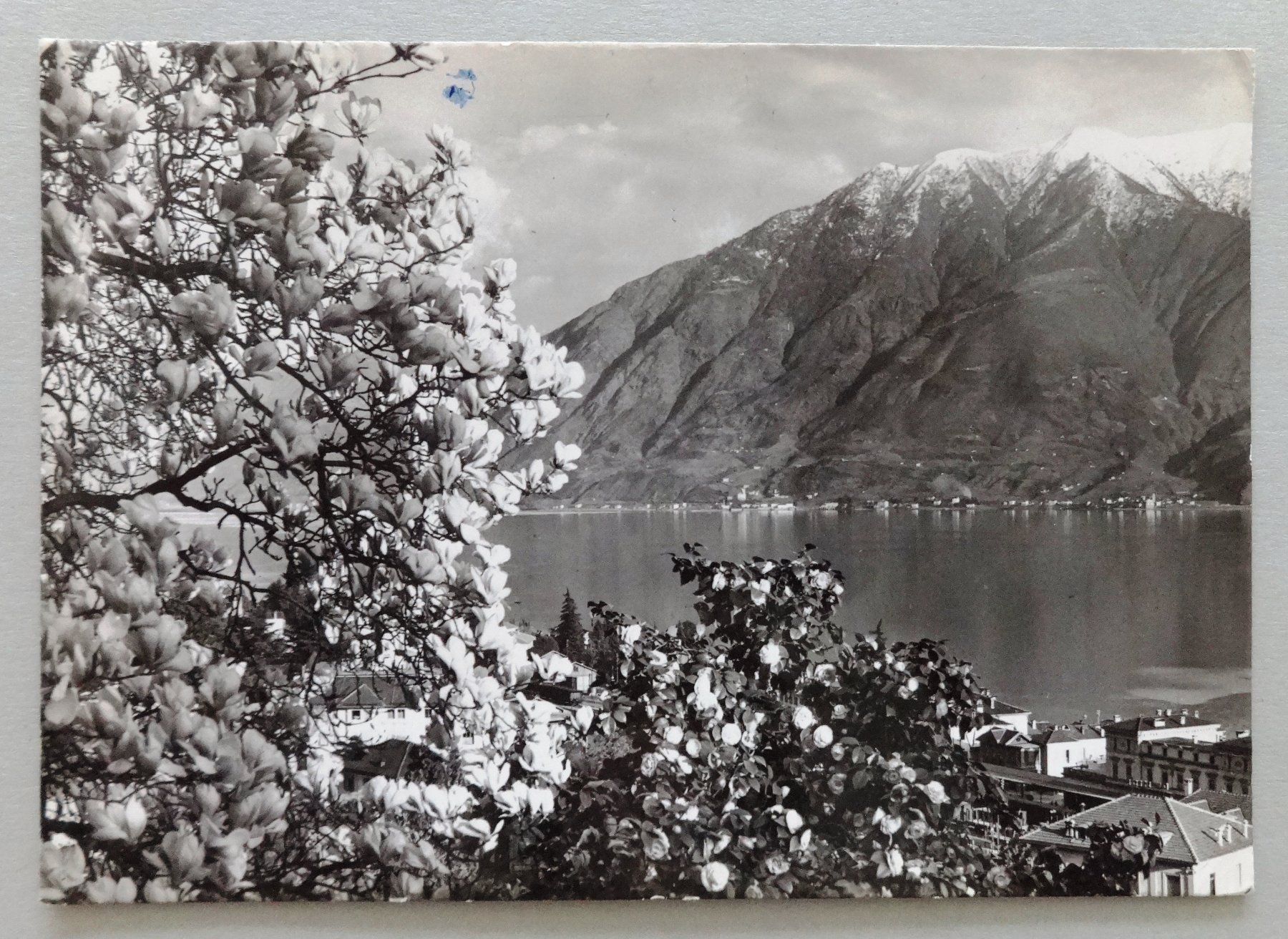 Cartes postales: Locarno, lago Maggiore – D'occasion à Fétigny par Billy2miny