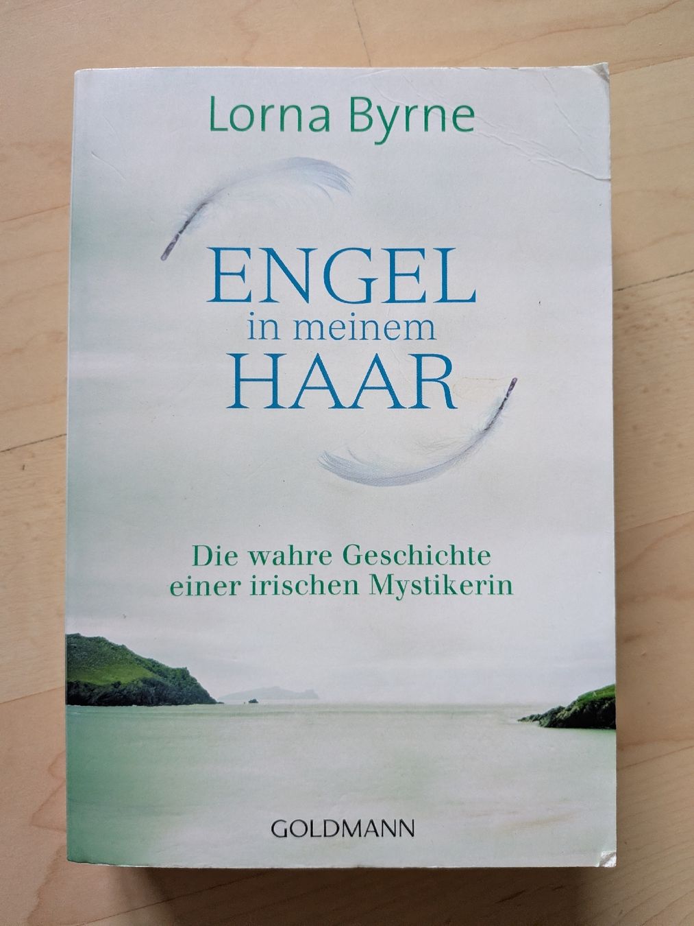 Libri: Buch: ENGEL in meinem HAAR – Usato da Schötz venduto da pemali