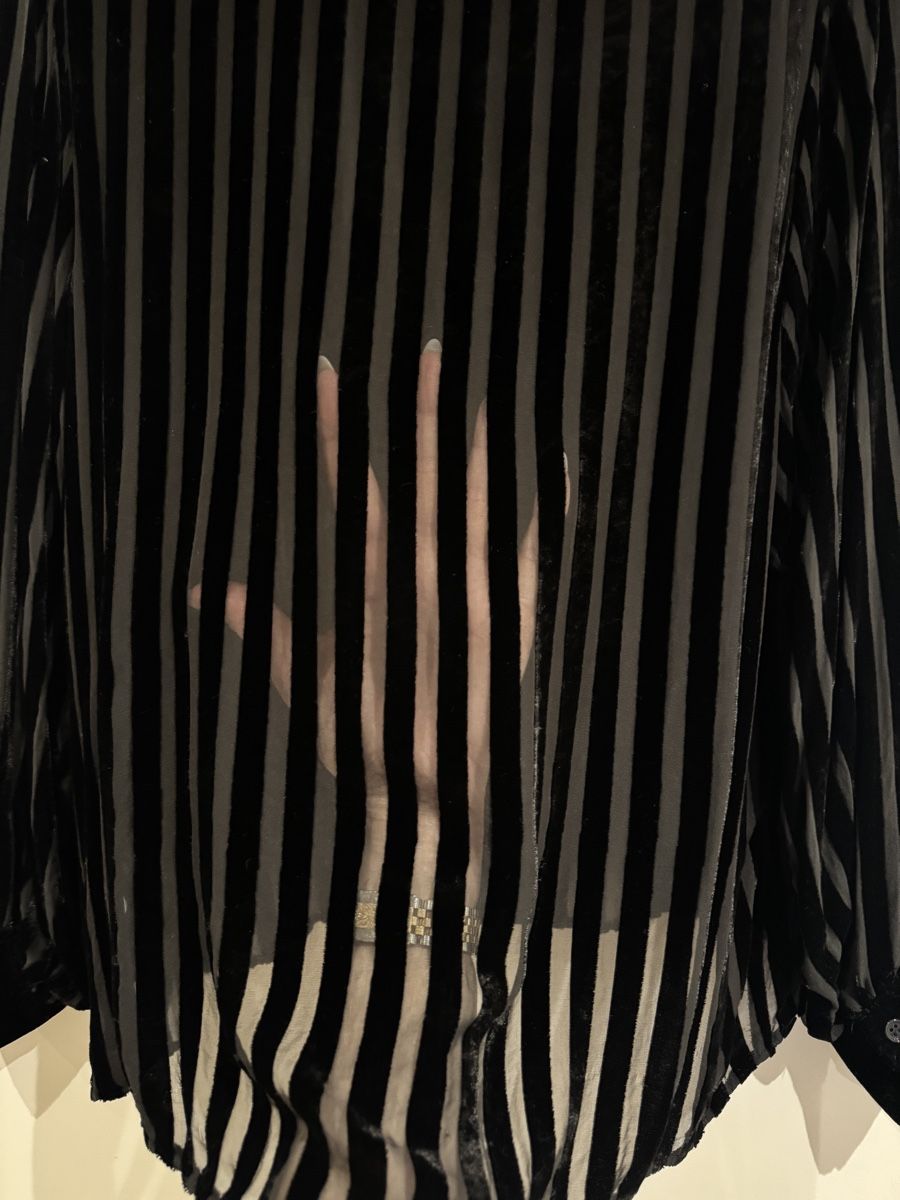 Zara Camicette: Zara Samtbluse, schwarz gestreift, transparent Gr. XS – Usato da Zürich venduto da jlnhrd 4