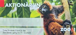 Zoo Zürich Eintritt Ticket / Mehrfachauktion