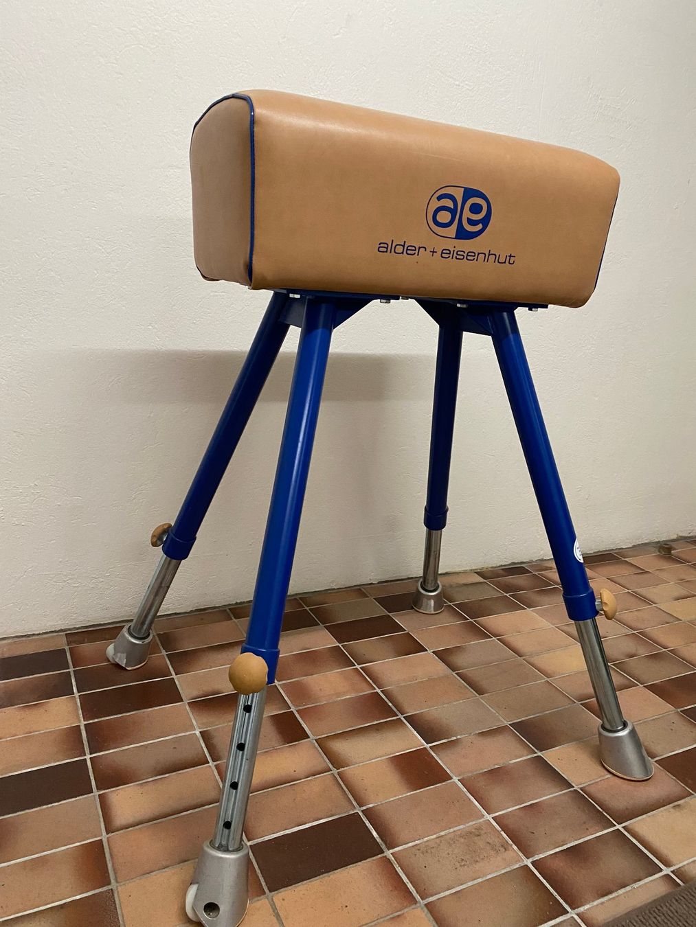 Alder+Eisenhut Hometrainer: Sprungbock von Alder + Eisenhut – Nuovo (secondo la descrizione) da Thalwil venduto da michaelbrandenberger