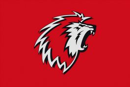 A vendre pour la saison 2026-2027 2 abbonements LHC