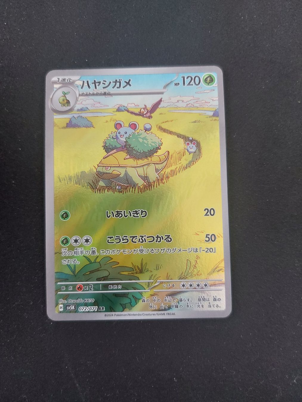 amazon pokemon booster box Pokémon TCG:Grotle AR 072/071 Holo Wild Force sv5k- [RANK: S] main image 0