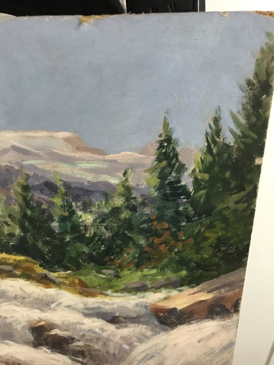 Dipinti: CAMPESTRINI GIANFRANCO 1901-1979 – Usato da Wolfhalden venduto da SecondAntique 2