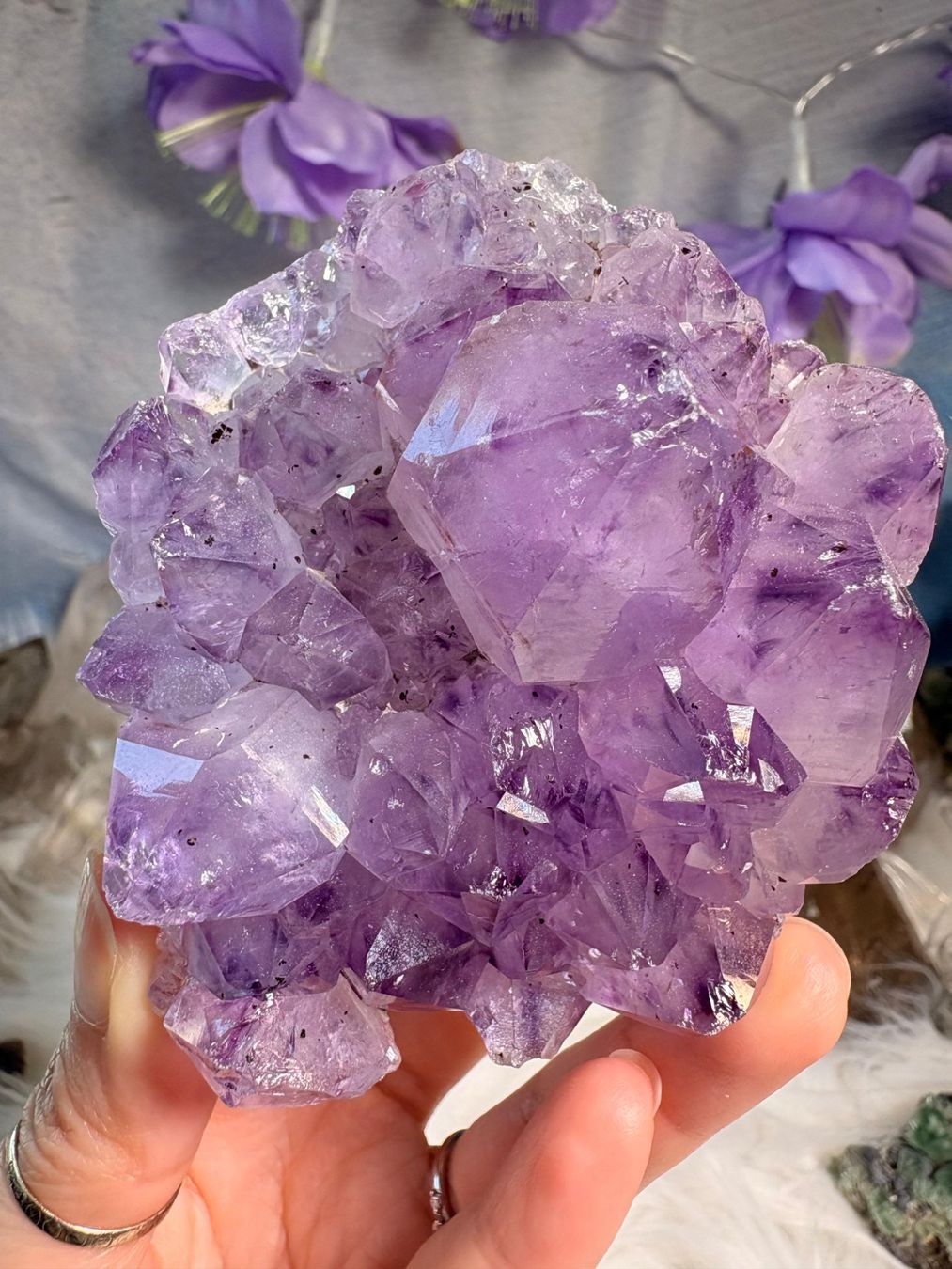 Minerali & Pietre curative: Amethyst Geode – Nuovo (secondo la descrizione) da Neuheim venduto da m.hald 1