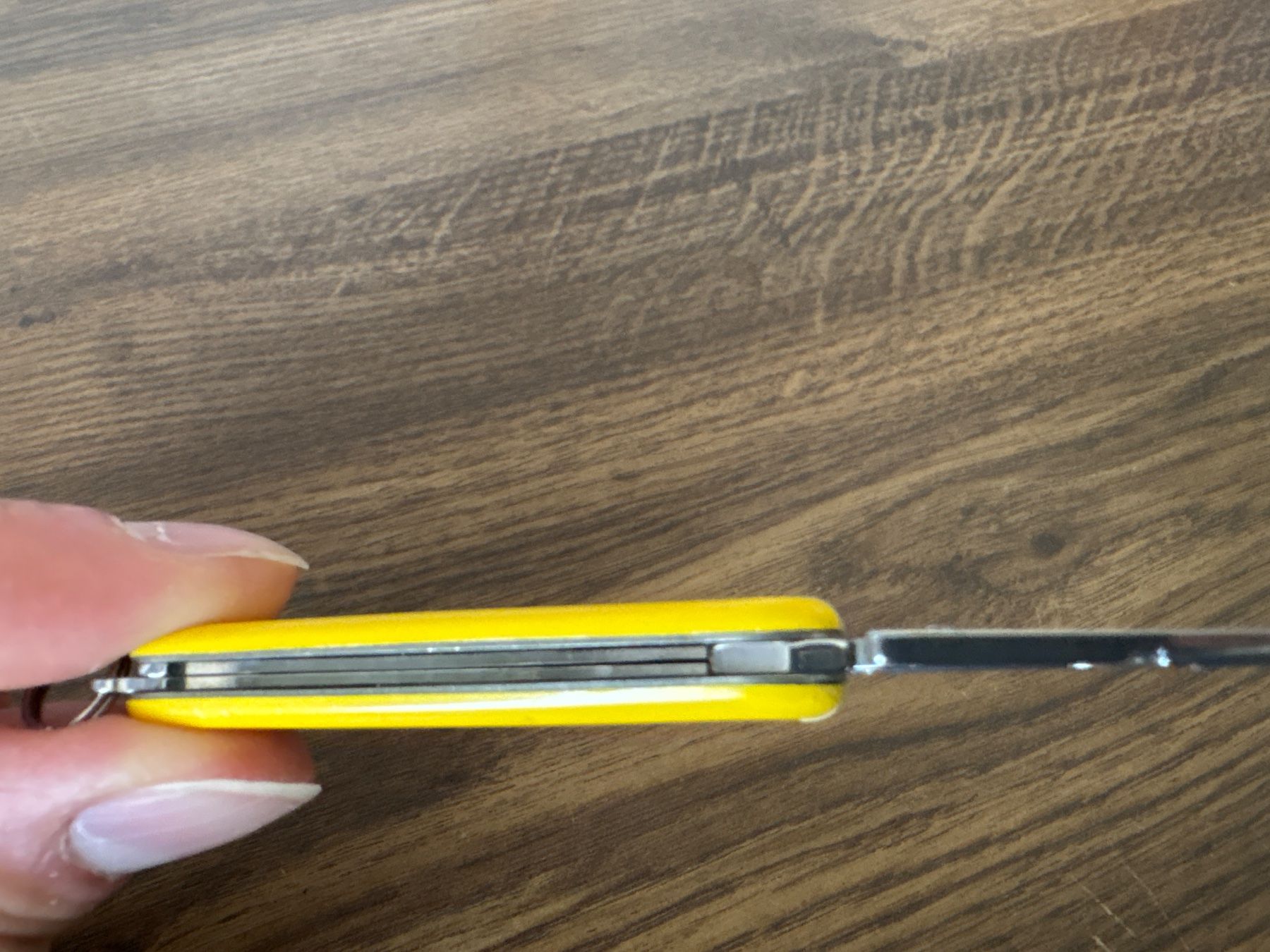 Victorinox Coltelli tascabile: VICTORINOX - Classic yellow - Sackmesser – Usato da Andwil SG venduto da Rainboli 7