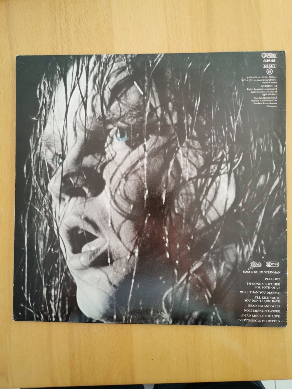 Dischi in vinile: Meat Loaf - Dead Ringer - Schallplatte – Usato da St.Gallen venduto da Tamal0204 1