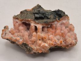 Chalcedon (Calzedon); Marokko (52)