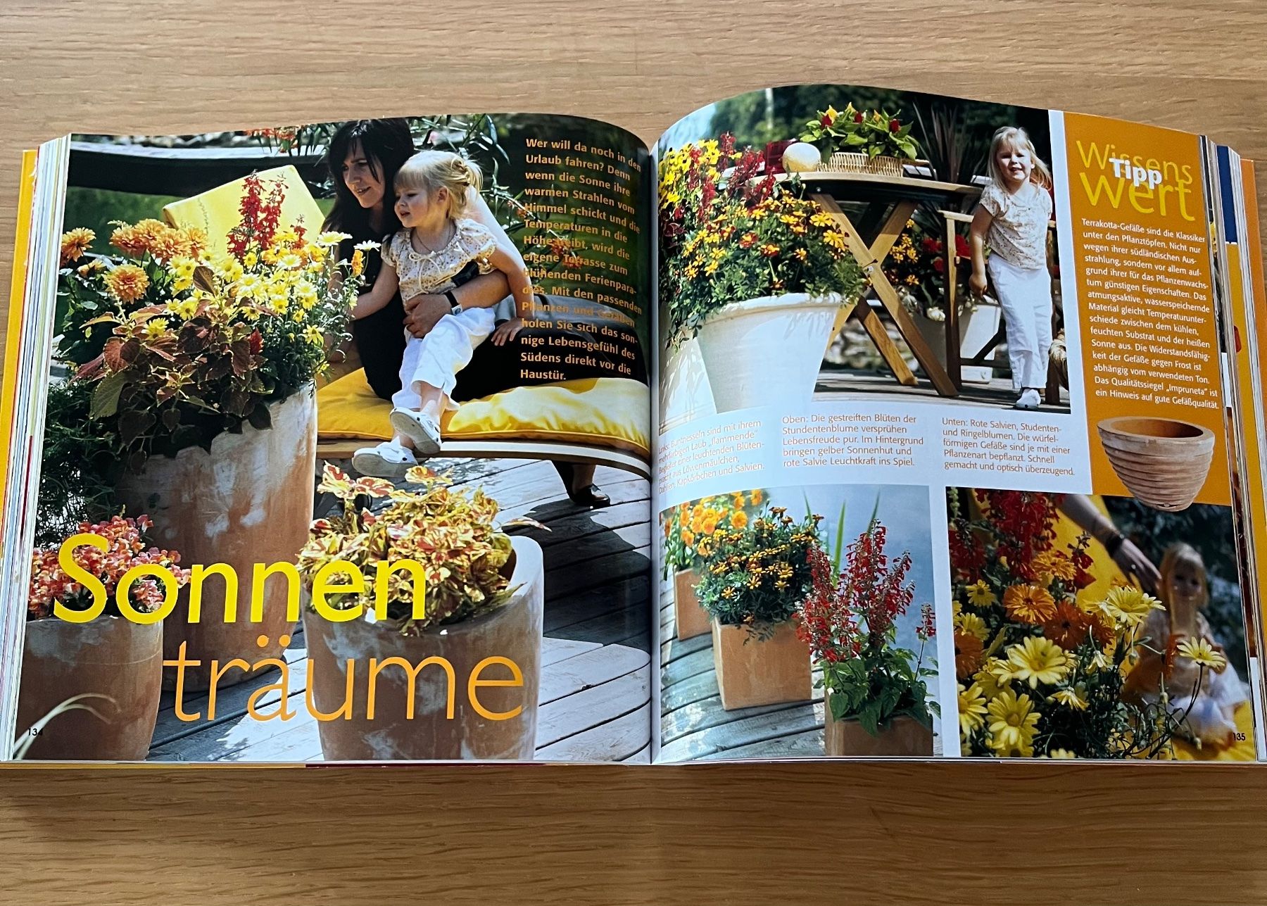 Libri: 555 Dekoideen mit Blumen & Pflanzen – Usato da Eschlikon TG venduto da u_b_l8zm 4