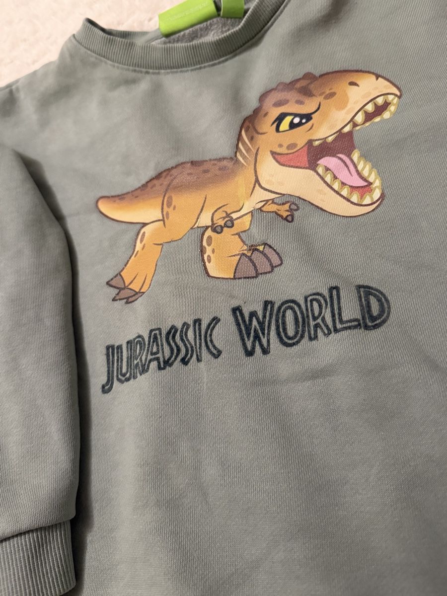 Lotti & Set di vestiti: Lot de 2 pulls garçon : 1 sweat à capuche + Jurassic World – Usato da La Chaux-de-Fonds venduto da Sabinchenn 2