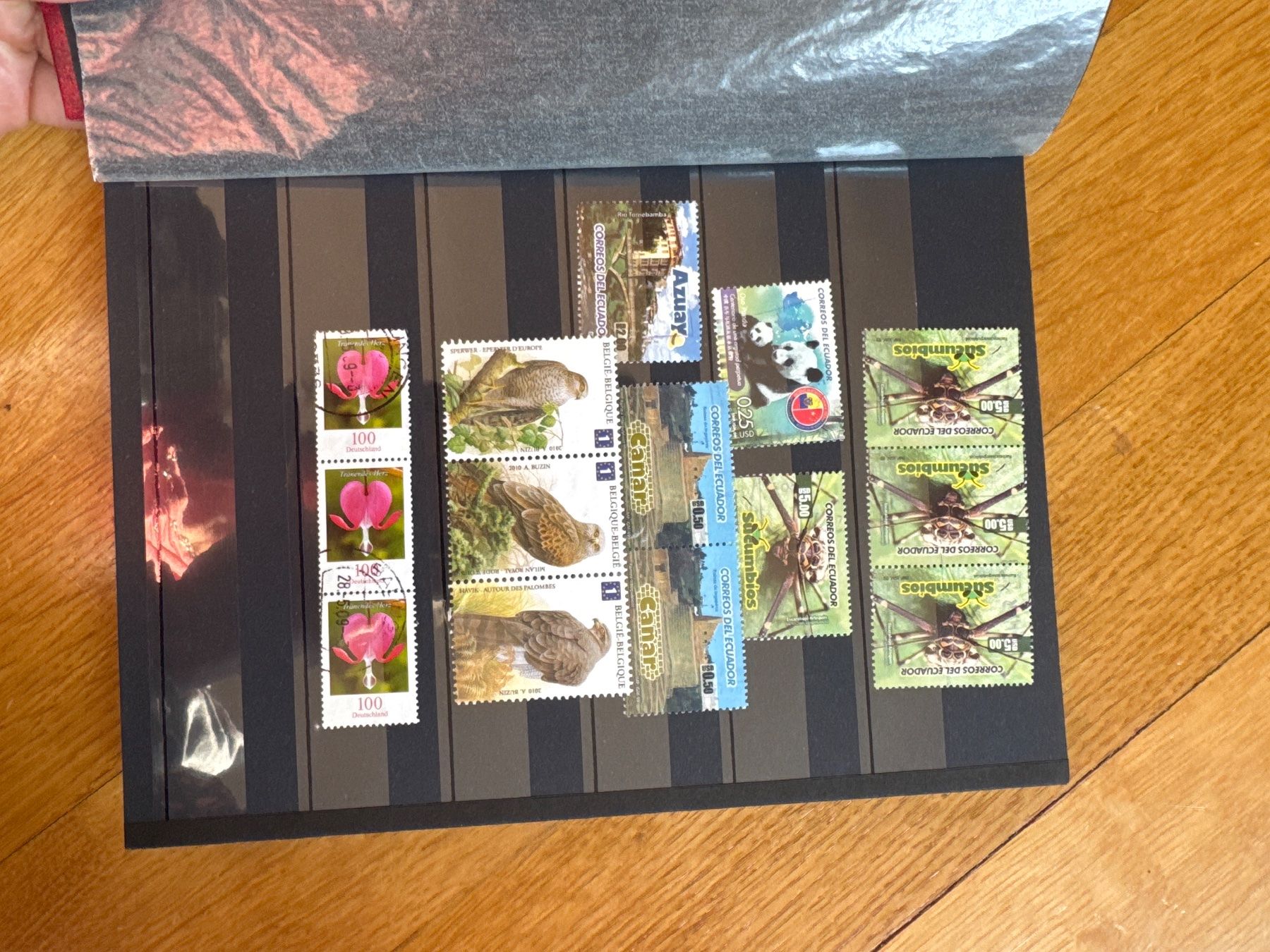 Alle Briefmarken: Ungestempelte Brirfmarkensammlung – Gebraucht aus Schöfflisdorf von sonjastarfish 1
